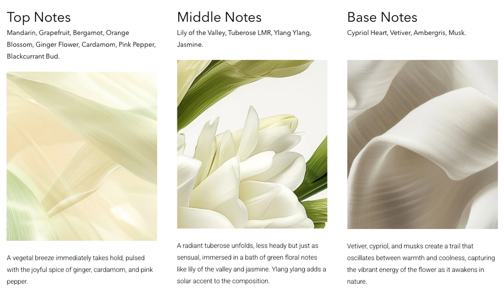 Innocent Tuberose